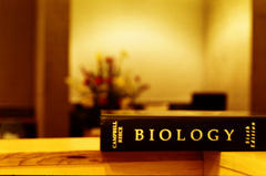 Texas Group Says Publishers Pressured to Include ‘Creation Science’ in Textbooks